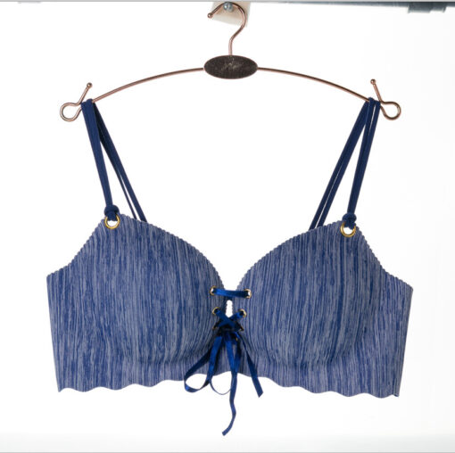 Premium Quality Soft Seamless Comfortable Bra for Women Blue-SSC