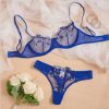 Premium Quality made in China Transparent Bra Panty Set Blue