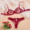 Premium Quality made in China Transparent Bra Panty Set maroon