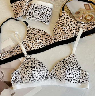 Leopard Bra Panty Set - LBP - Image 4